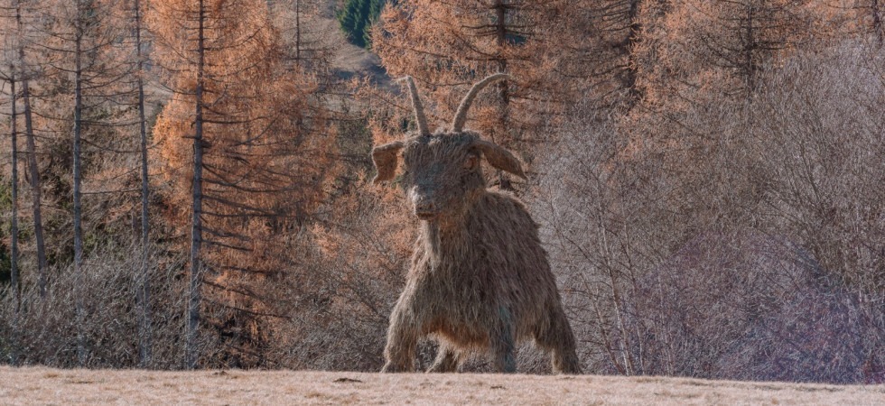 Dopo l'Orso con la valigia sul Bondone arriva la 'Capra gigante': sono le uniche due sculture in paglia e fieno in Italia